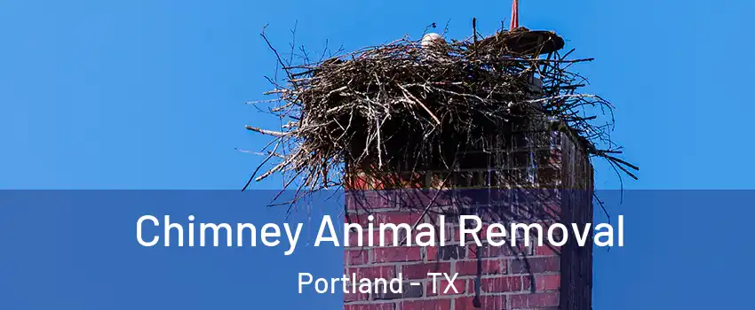 Chimney Animal Removal Portland - TX