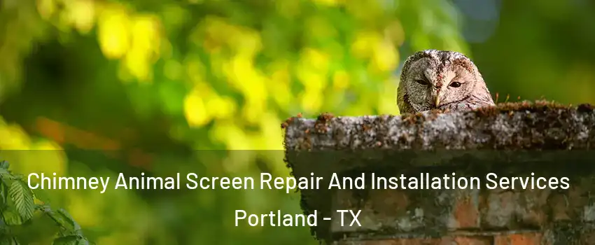  Chimney Animal Screen Repair And Installation Services Portland - TX