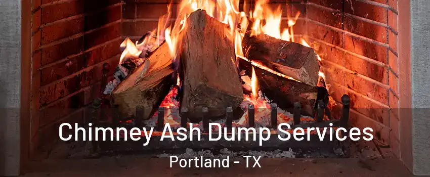  Chimney Ash Dump Services Portland - TX