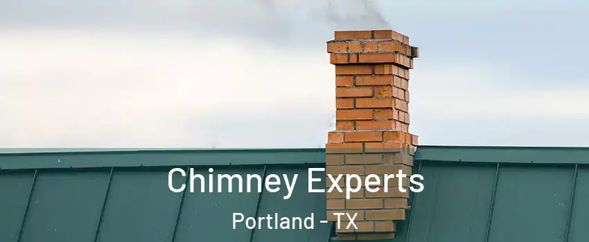  Chimney Experts Portland - TX