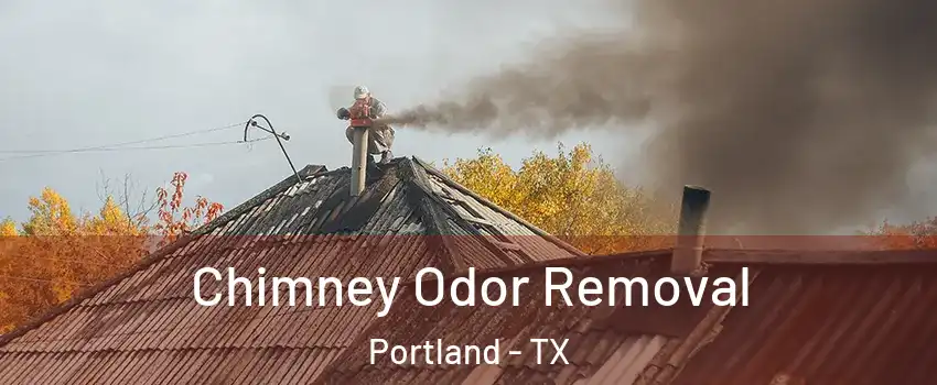  Chimney Odor Removal Portland - TX