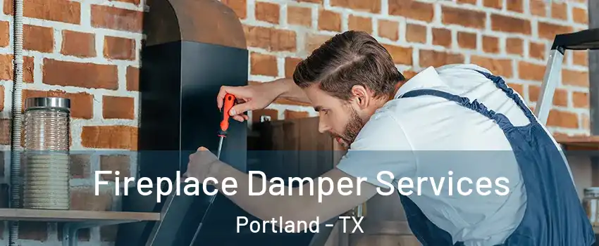  Fireplace Damper Services Portland - TX