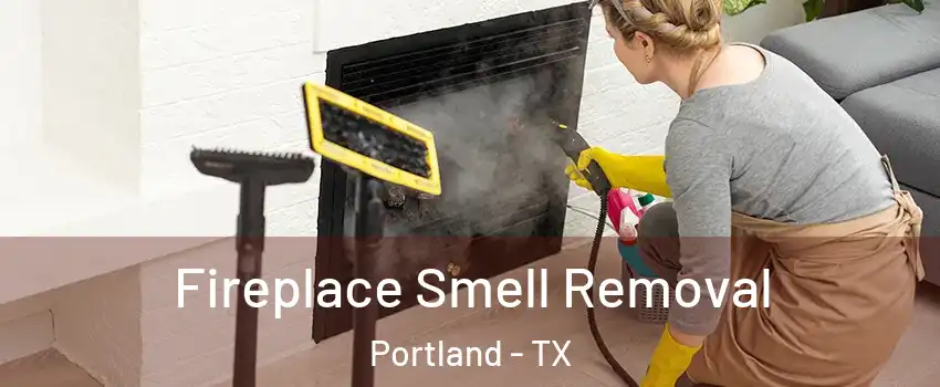  Fireplace Smell Removal Portland - TX