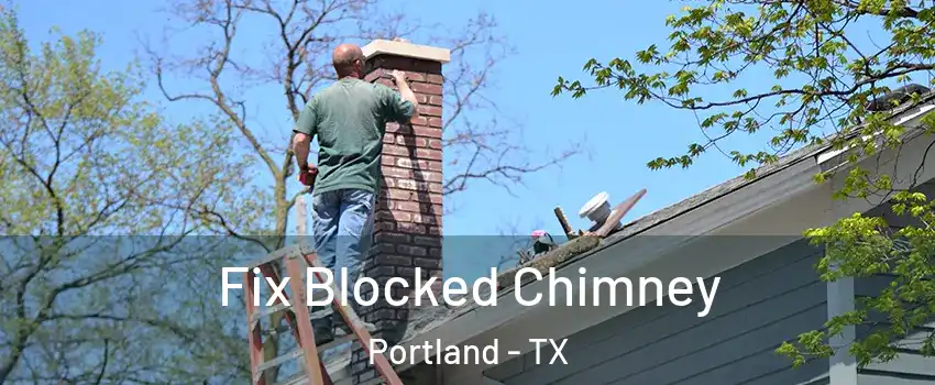  Fix Blocked Chimney Portland - TX