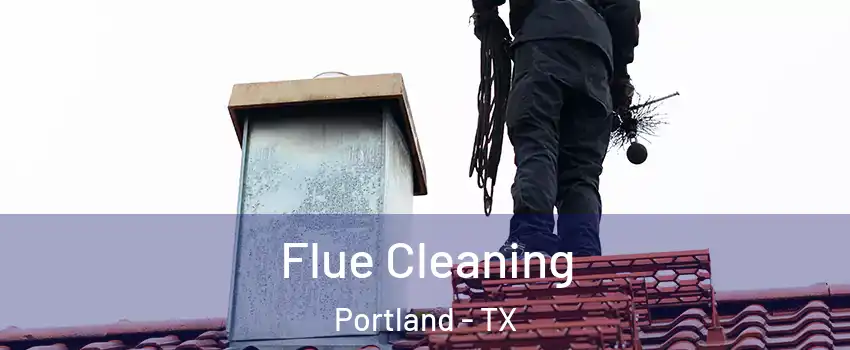  Flue Cleaning Portland - TX