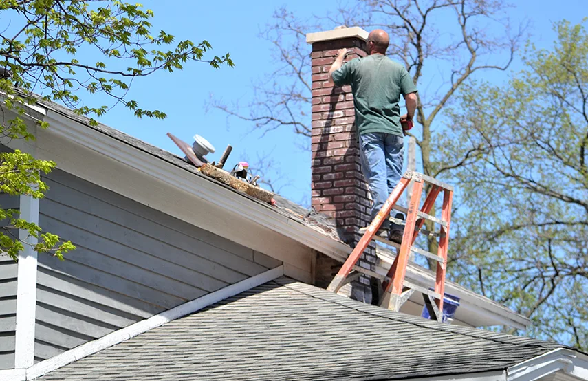 Chimney & Fireplace Inspections Services in Portland, TX