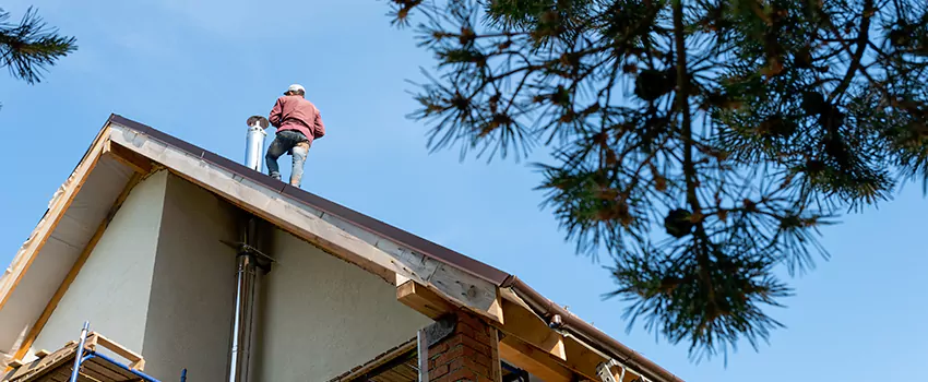 Birds Removal Contractors from Chimney in Portland, TX