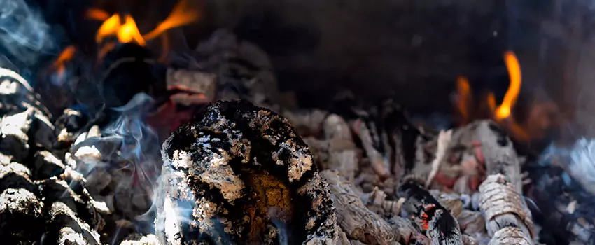 Creosote Removal Experts in Portland, TX