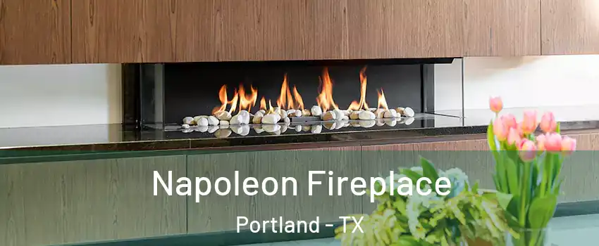  Napoleon Fireplace Portland - TX